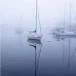 Playa Central: Piscina, Netflix Y Comodidades Playeras Apartment *